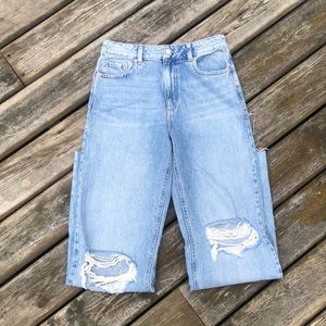 Dynamite Heidi Wide Leg Jeans